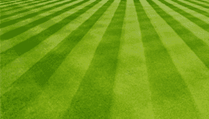 Lawn Care Professionals, Golf Courses and Athletic Fields