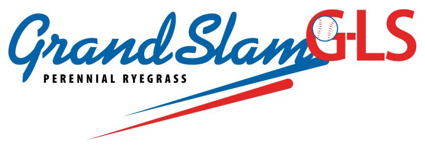 GrandSlam Rye