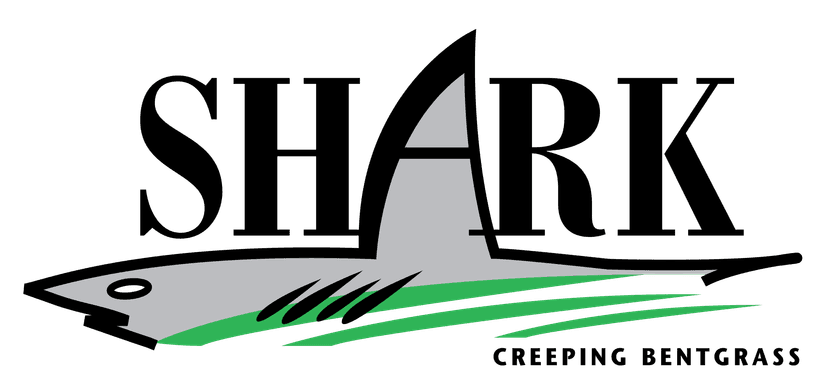Shark Bentgrass