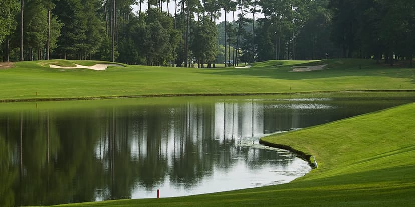 Black Onyx Lake and Pond Colorant