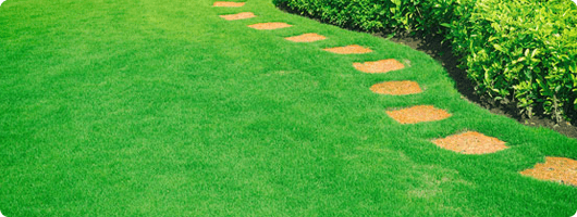 Lawn Care Professionals, Golf Courses and Athletic Fields