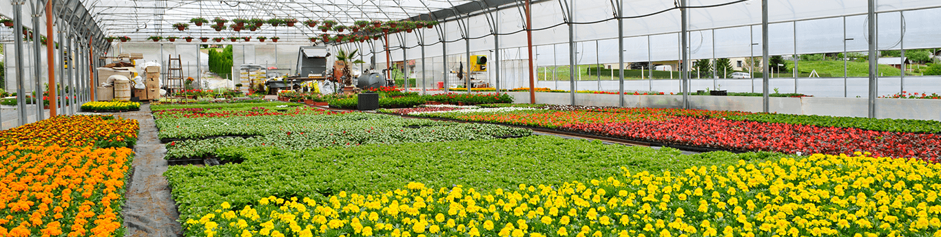 The Tessman Company - Your Supplier for Growth