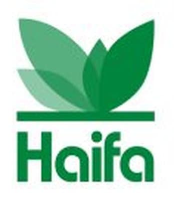 Haifa